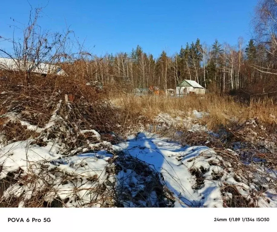 Участок в Рязанская область, Шиловское городское поселение, Тырница ... - Фото 2