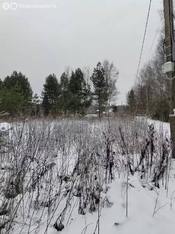 Участок в Владимирская область, Собинский муниципальный округ, СНТ ... - Фото 1