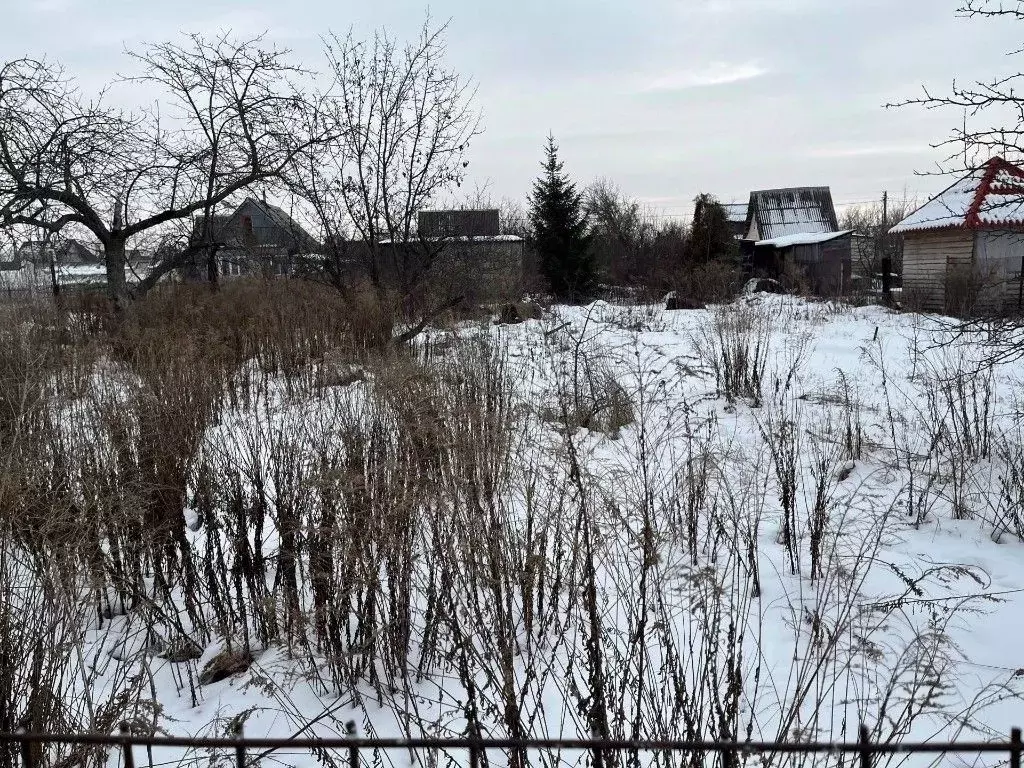 Участок в Воронежская область, Воронеж Березка СНТ, 4-я линия, 175 ... - Фото 1