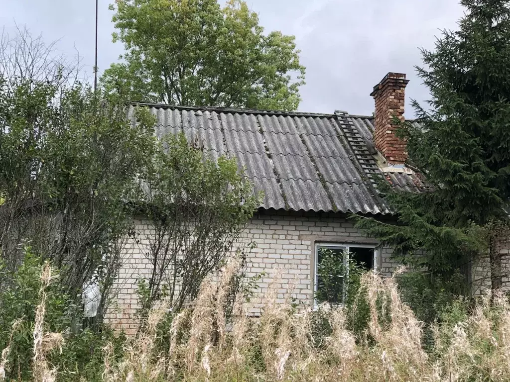 Дом в Ленинградская область, Гатчинский муниципальный округ, Дружная ... - Фото 1