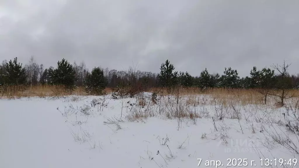 Участок в Московская область, Орехово-Зуевский городской округ, д. ... - Фото 0