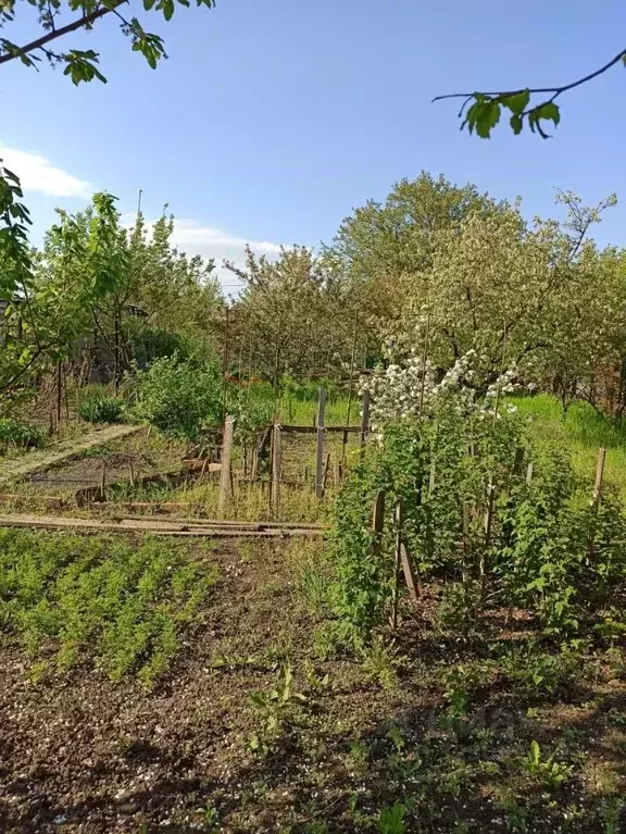 Участок в Ростовская область, Азов Азовский район, Мичуринец-3 мкр, ... - Фото 1