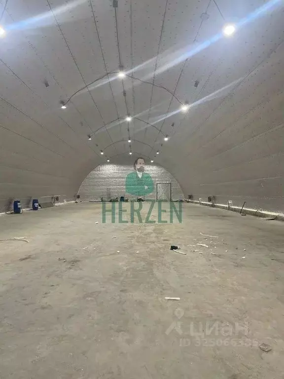 Производственное помещение в Московская область, Чехов Венюково мкр, ... - Фото 2