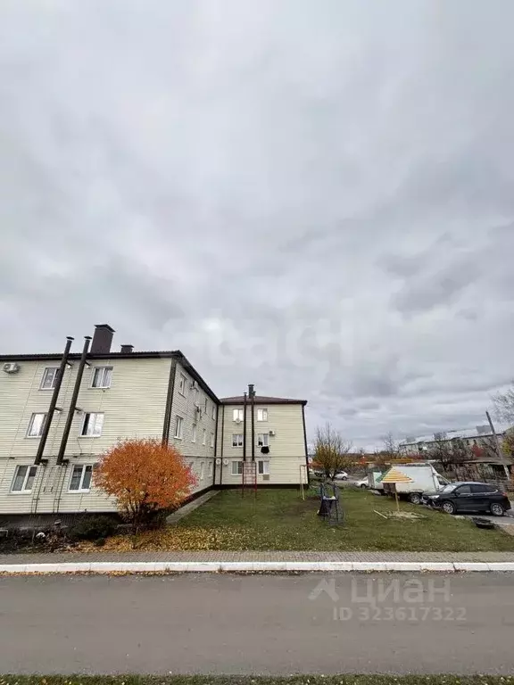 3-к кв. Белгородская область, Алексеевка Юбилейная ул., 12 (53.1 м) - Фото 1