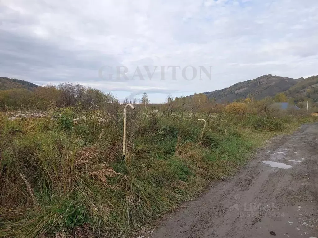 Участок в Алтай, Майминский район, с. Кызыл-Озек ул. Напалковой (10.0 ... - Фото 2