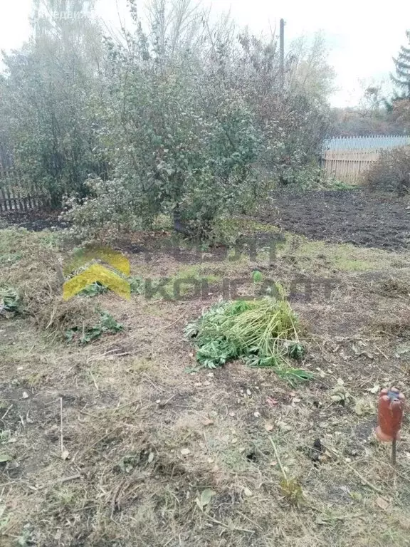 Дом в Омск, территория СОСН Шинник-3 (12 м) - Фото 1