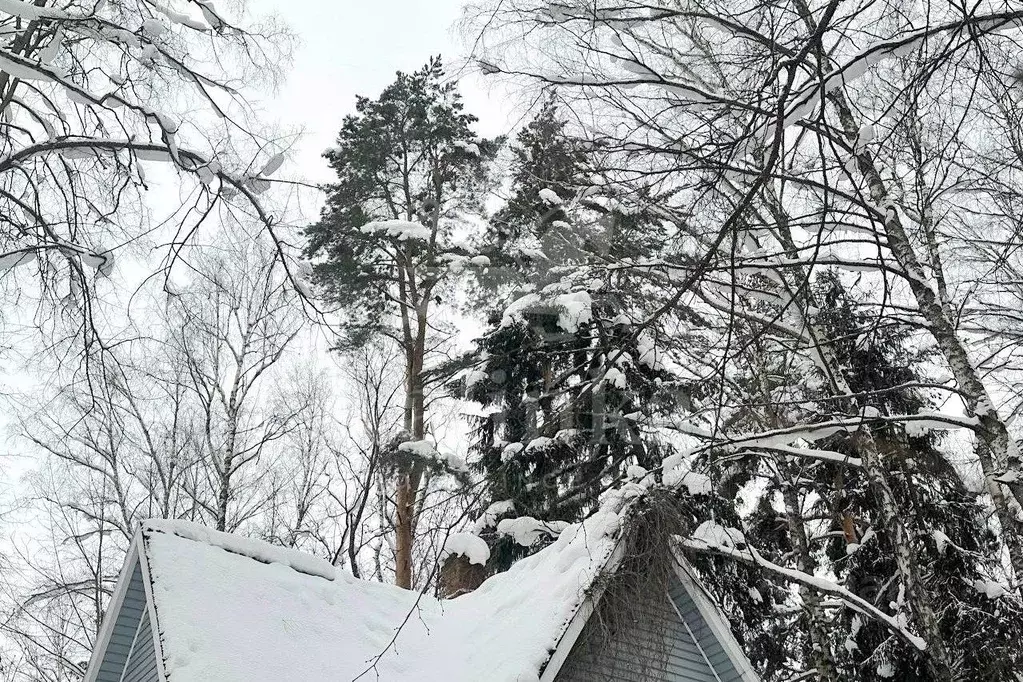 Участок в Московская область, Одинцовский городской округ, д. ... - Фото 2