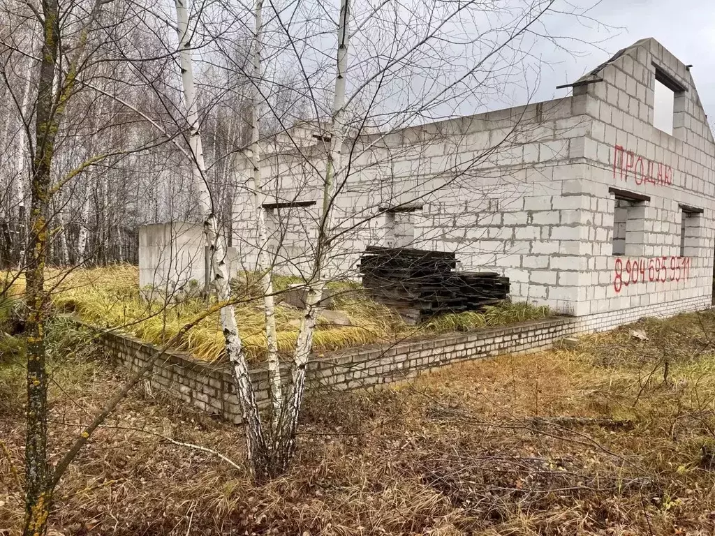 Дом в Липецкая область, Добровский муниципальный округ, с. Лебяжье ул. ... - Фото 2