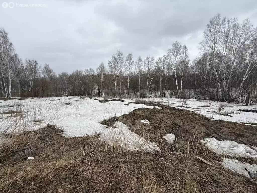 Участок в Кемеровский муниципальный округ, деревня Солонечная, ... - Фото 2