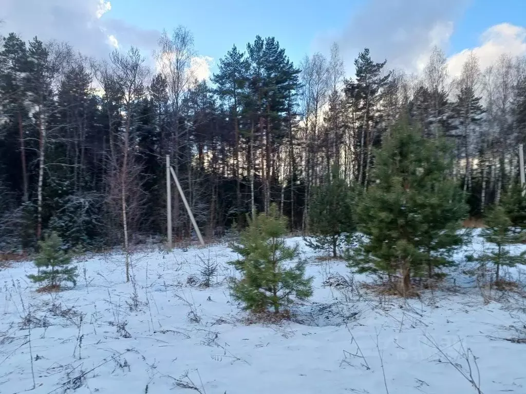 Участок в Московская область, Сергиево-Посадский городской округ, д. ... - Фото 0