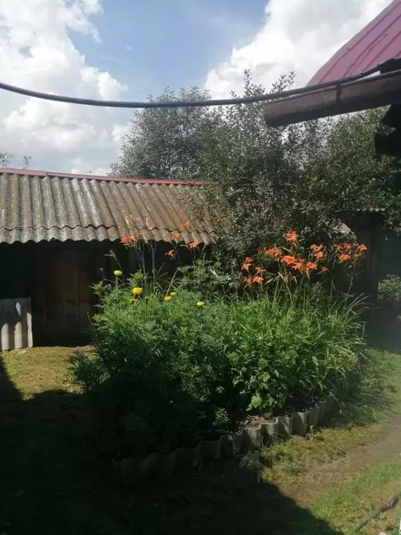 Дом в Кемеровская область, Осинники Цветочный пер. (41 м) - Фото 2