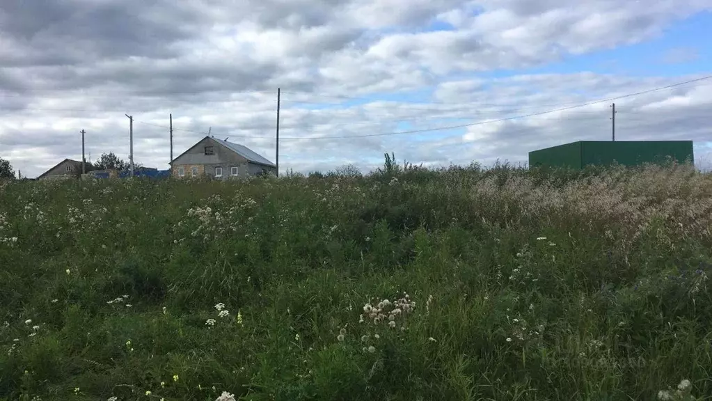 Участок в Свердловская область, Богданович городской округ, с. ... - Фото 1