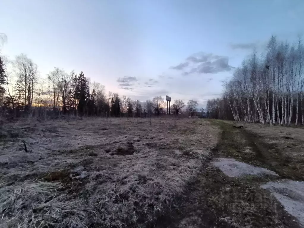 Участок в Московская область, Рузский муниципальный округ, д. Комлево ... - Фото 2