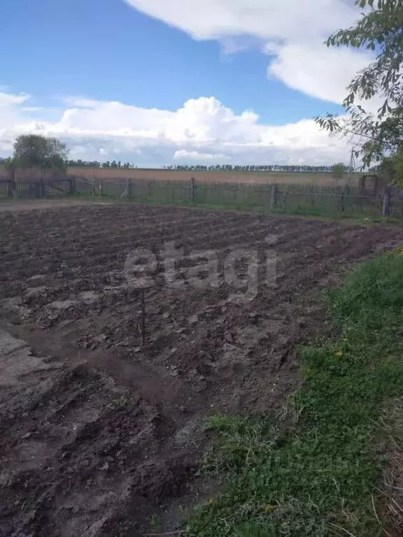Дом в Амурская область, Тамбовский муниципальный округ, с. Садовое ул. ... - Фото 1