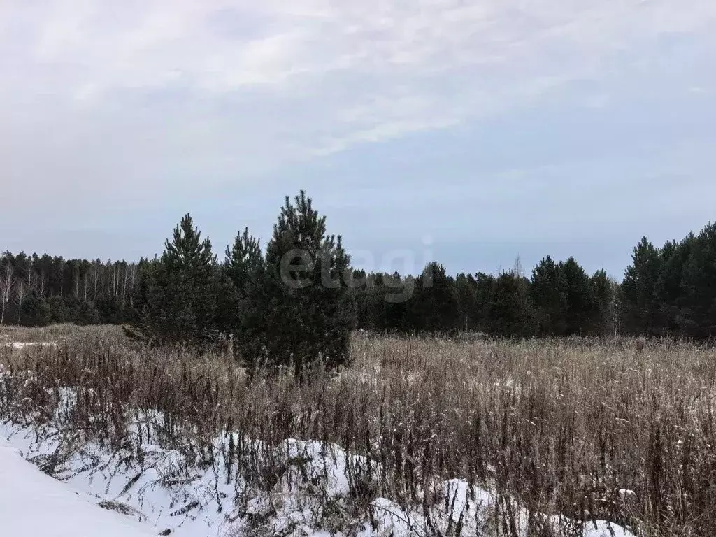 Участок в Тюменская область, Нижнетавдинский муниципальный округ, ... - Фото 1