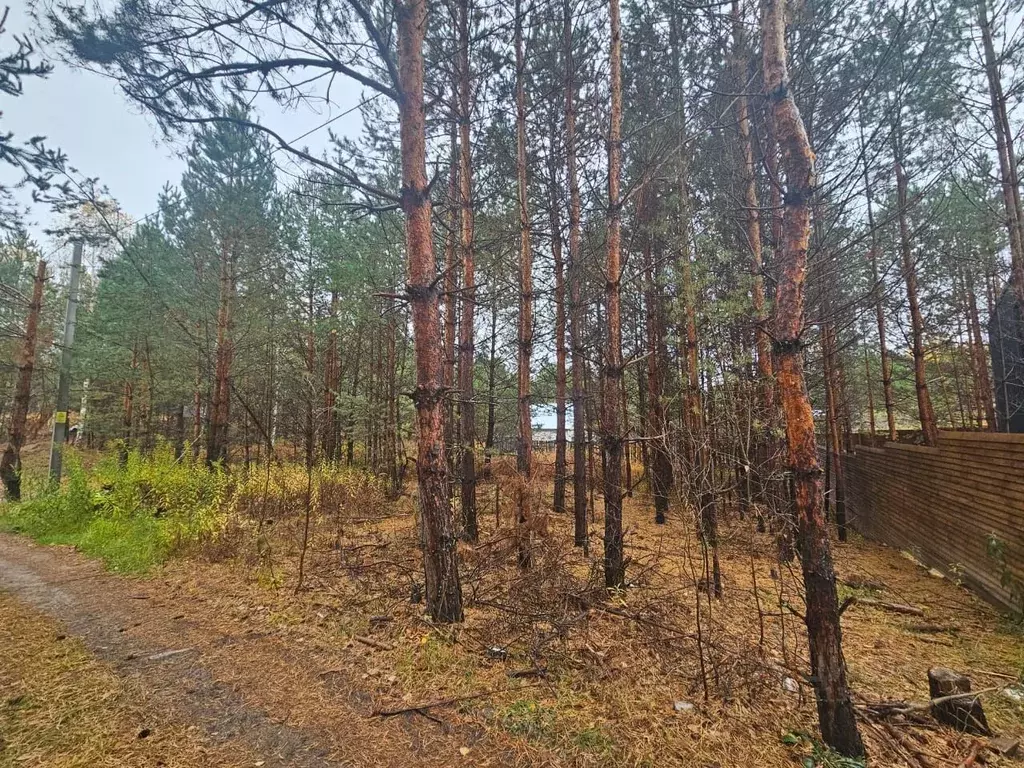 Участок в Татарстан, Зеленодольск Трудовик садовое товарищество,  (5.0 ... - Фото 1