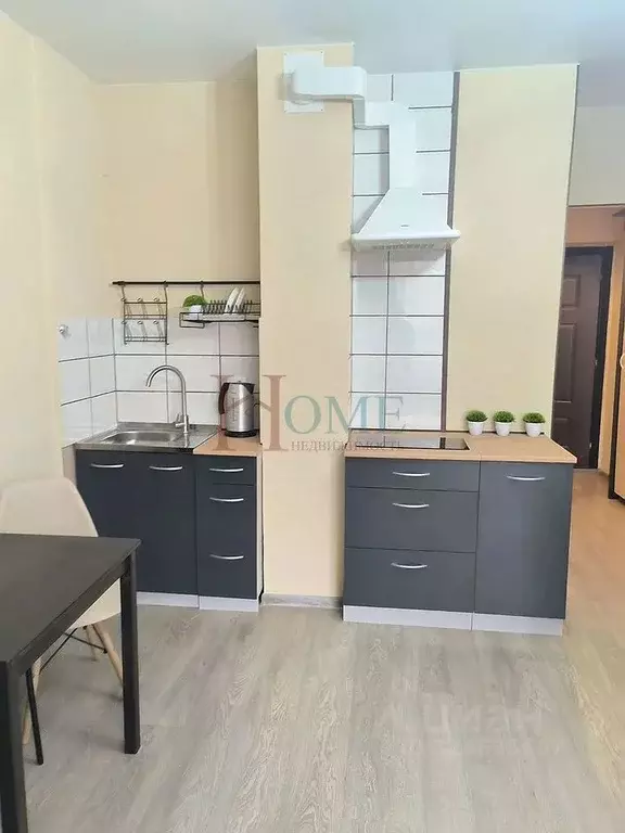 Студия Новосибирская область, Новосибирск ул. Романова, 60/1 (25.0 м) - Фото 1