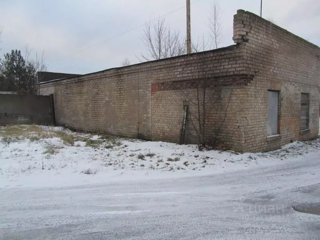 Гараж в Псковская область, Пыталово ул. Евгения Каупужа, 1 (33 м) - Фото 1