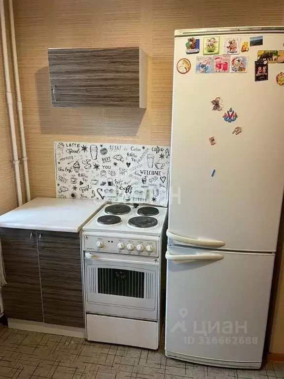 1-к кв. Санкт-Петербург ул. Димитрова, 3к1 (30.0 м) - Фото 1