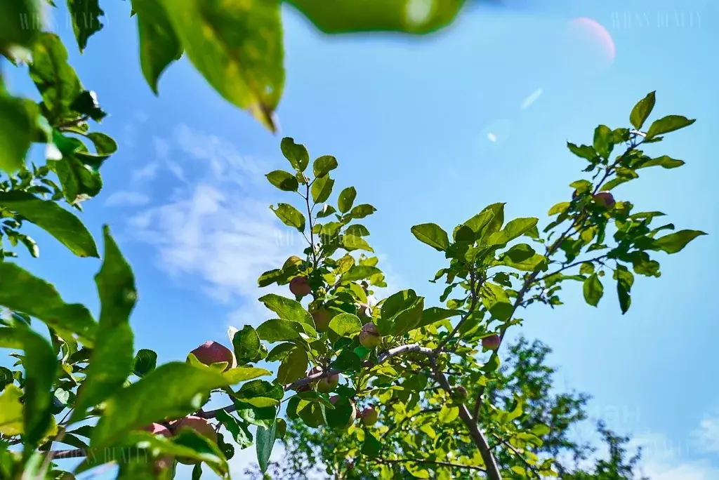 Дом в Нижегородская область, Кстовский муниципальный округ, д. ... - Фото 2