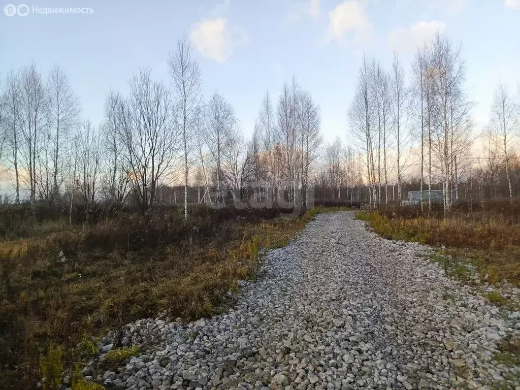 Участок в Тульская область, муниципальное образование Тула, посёлок ... - Фото 1