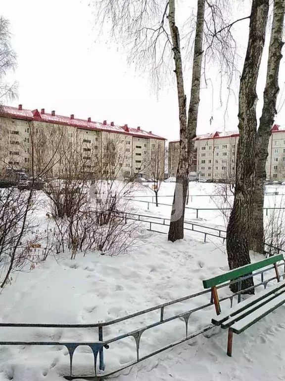 3-к кв. Тюменская область, Тюменский муниципальный округ, с. Каскара ... - Фото 2