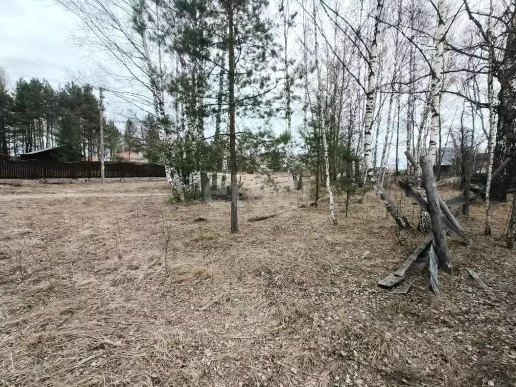 Участок в Владимирская область, Покров городской округ, с. Марково  ... - Фото 1