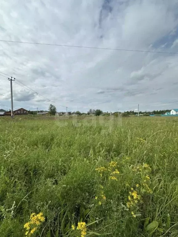 Участок в Московская область, Раменский муниципальный округ, д. Тяжино ... - Фото 2