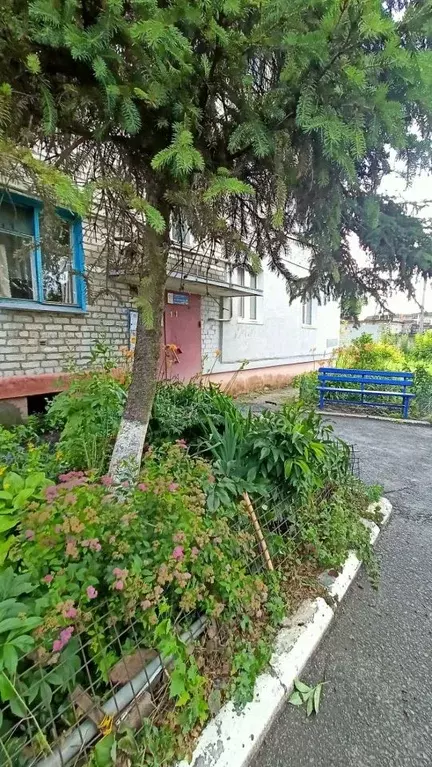 2-к кв. Курская область, Курск Запольная ул., 43 (38.2 м) - Фото 0