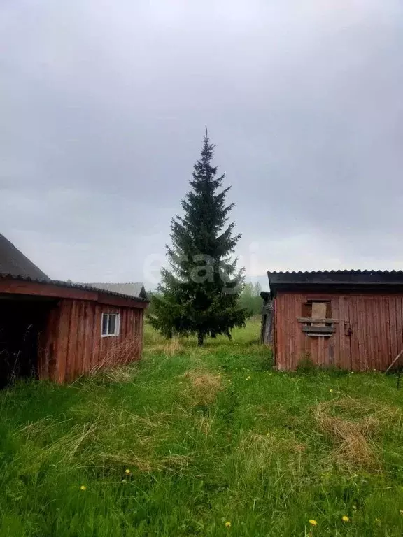 Дом в Тверская область, Весьегонский район, д. Григорево 15 (54 м) - Фото 0