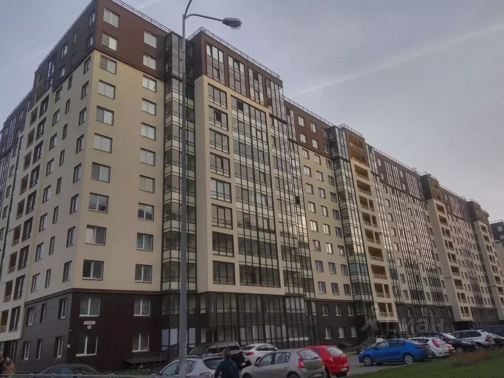 Студия Санкт-Петербург просп. Ветеранов, 169к3 (23.6 м) - Фото 0
