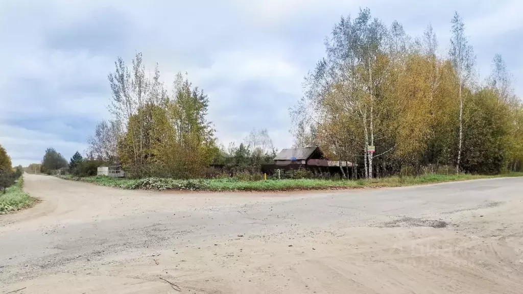 Участок в Ярославская область, Ярославский район, Заволжское с/пос, д. ... - Фото 1