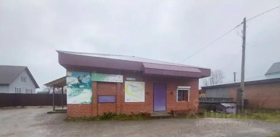 Торговая площадь в Пермский край, Александровск Яйва пгт, ... - Фото 2