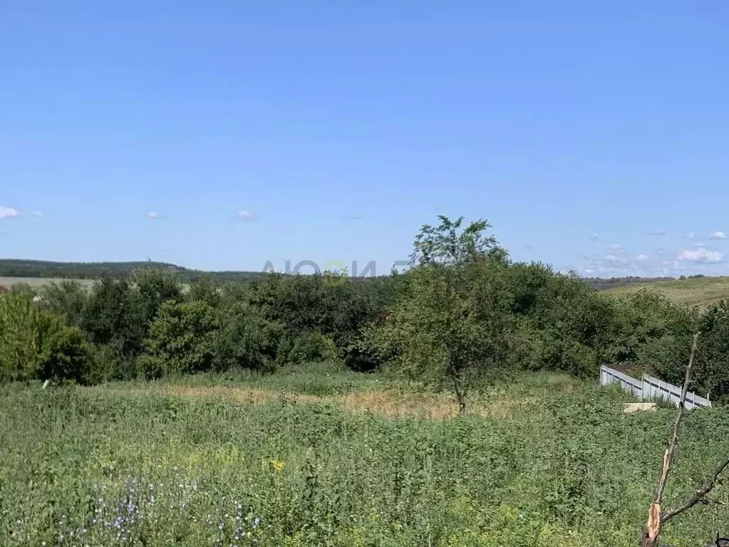 Участок в Саратовская область, с. Усть-Курдюм, 1-й мкр  (10.0 сот.) - Фото 2
