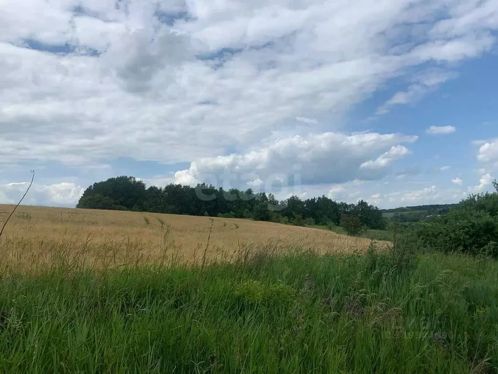 Участок в Белгородская область, Белгородский район, Ериковское с/пос, ... - Фото 1