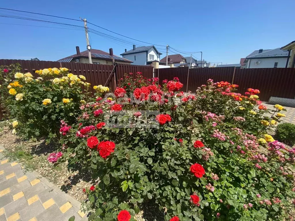 Дом в Краснодарский край, Новороссийск городской округ, Натухаевская ... - Фото 1