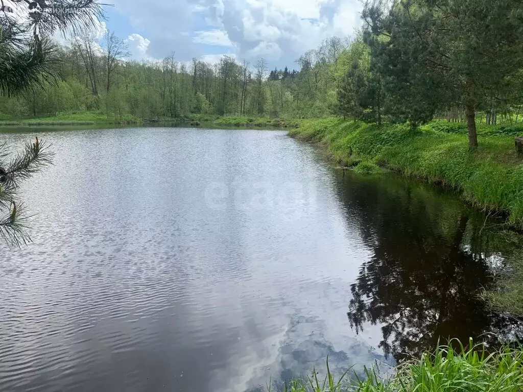 Участок в Тверь, Волоколамское шоссе (12.1 м) - Фото 1