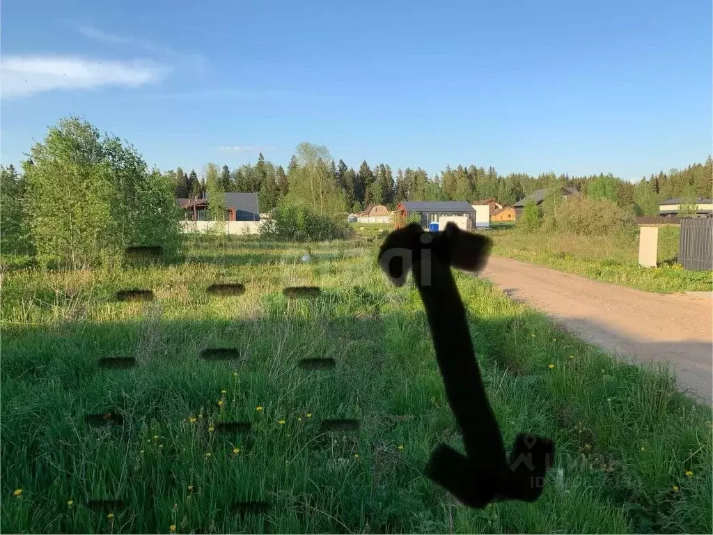 Участок в Московская область, Истра муниципальный округ, д. Еремеево, ... - Фото 2