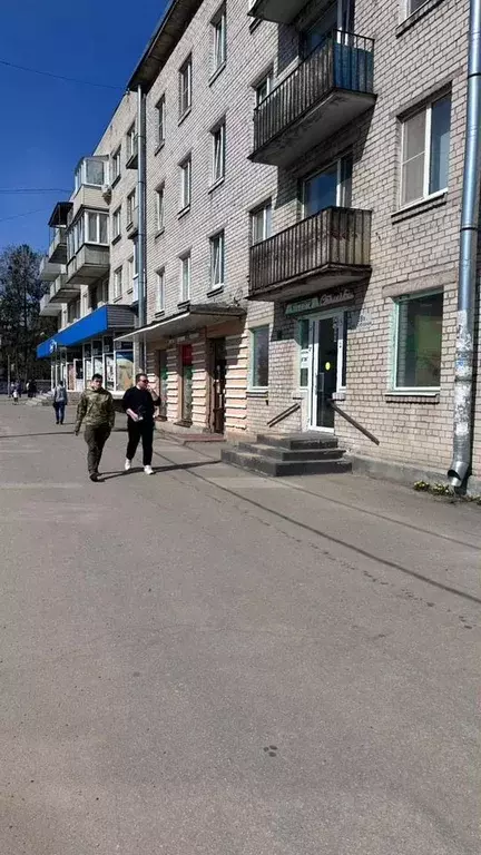 Торговая площадь в Ленинградская область, Гатчина Соборная ул., 28В ... - Фото 0