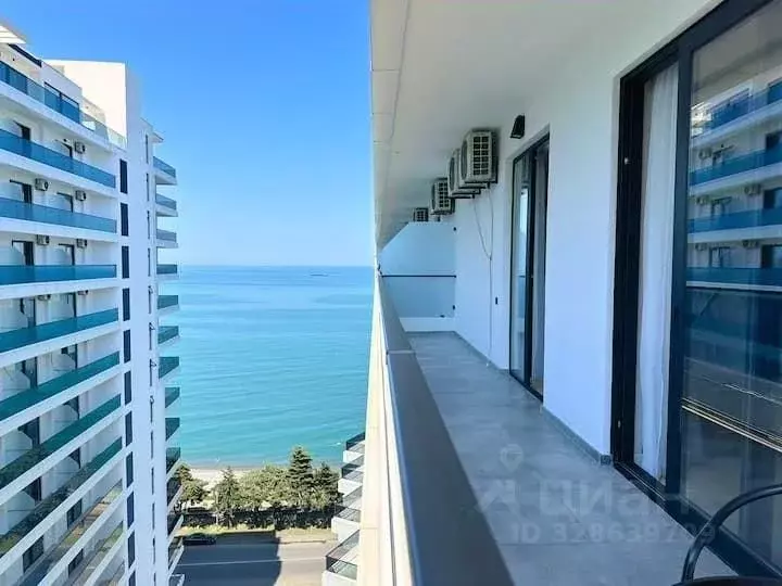 1-к кв. Краснодарский край, Сочи Центральный мкр, ул. Орджоникидзе, ... - Фото 1