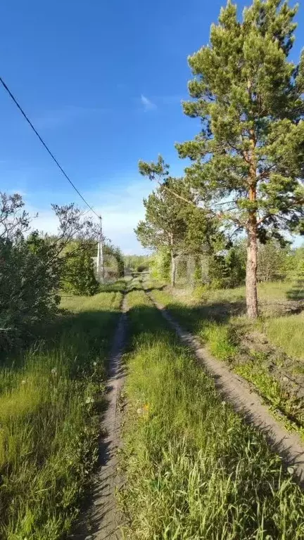 Участок в Тюменская область, Тюменский район, СО Надежда ТСН  (10.0 ... - Фото 0