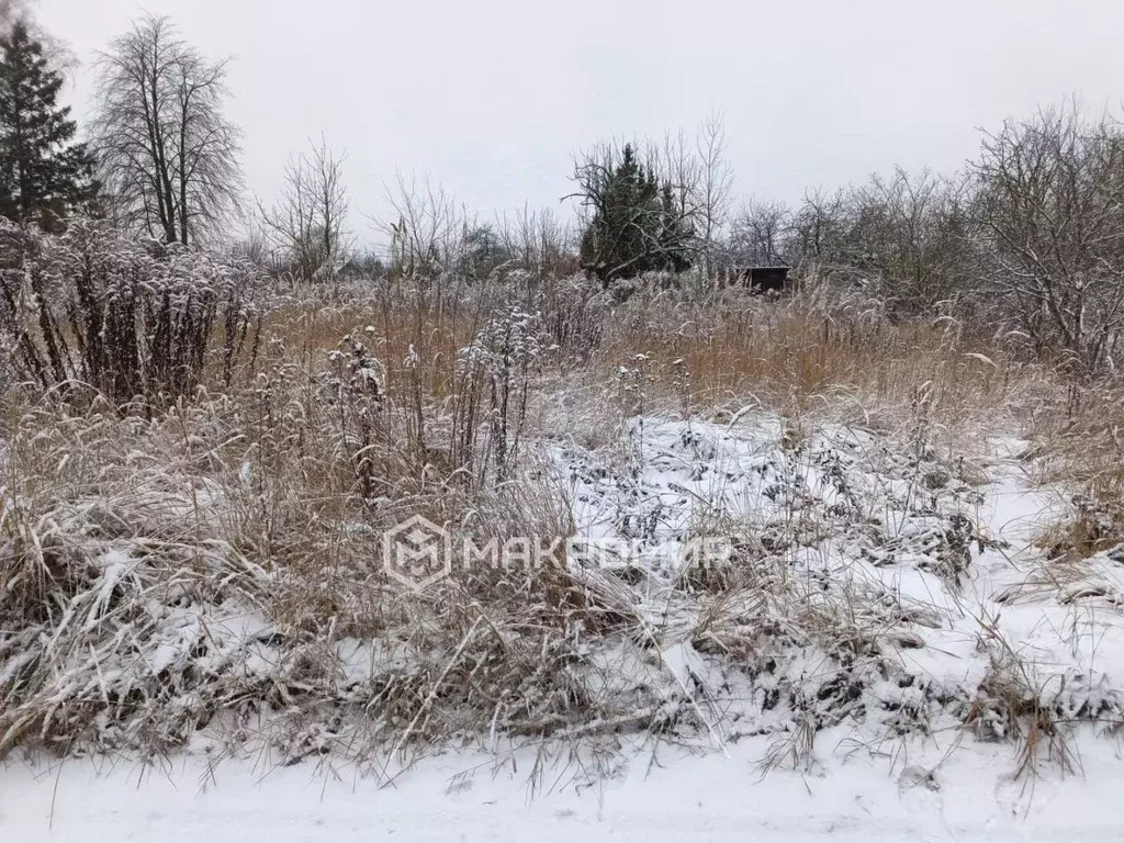 Участок в Брянская область, Брянск Черемушки садоводческое ... - Фото 2