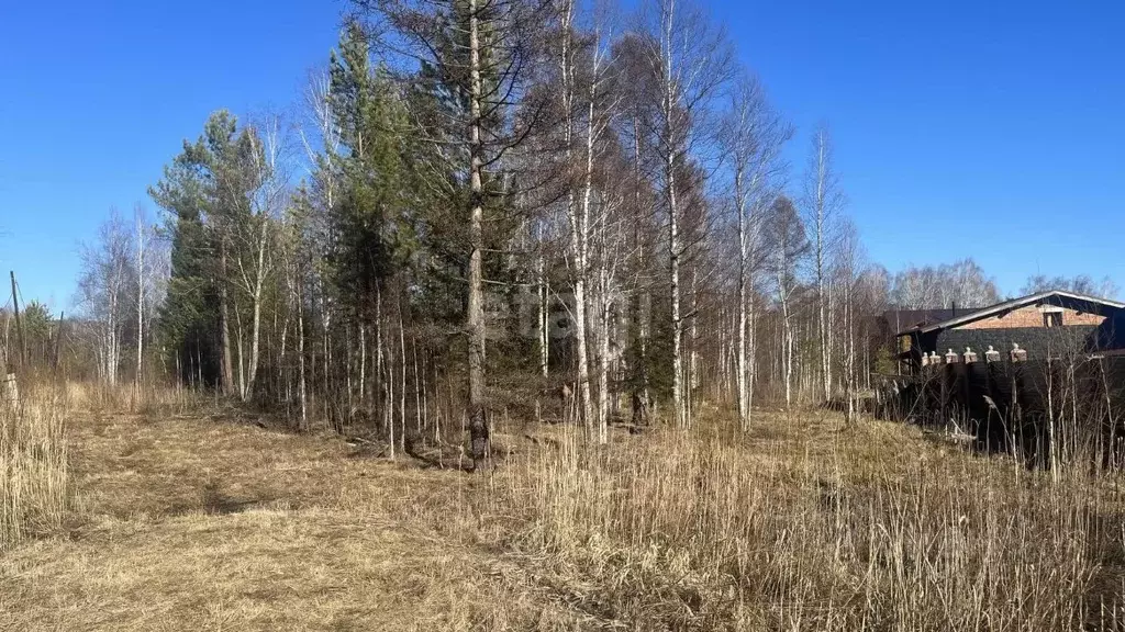 Участок в Красноярский край, Дивногорск городской округ, пос. Манский  ... - Фото 1