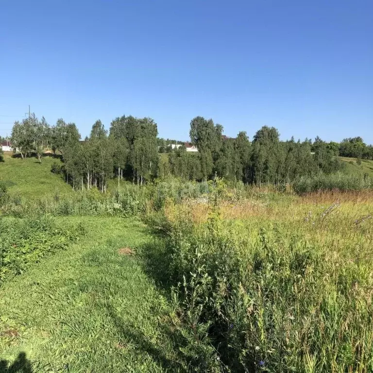 Участок в Брянская область, Брянский район, Глинищевское с/пос, с. ... - Фото 1