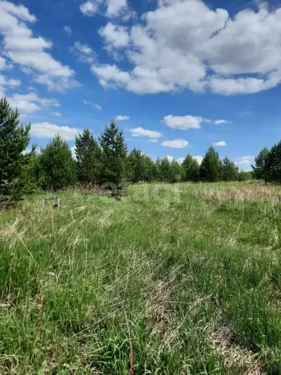 Участок в Свердловская область, Горноуральский муниципальный округ, д. ... - Фото 1