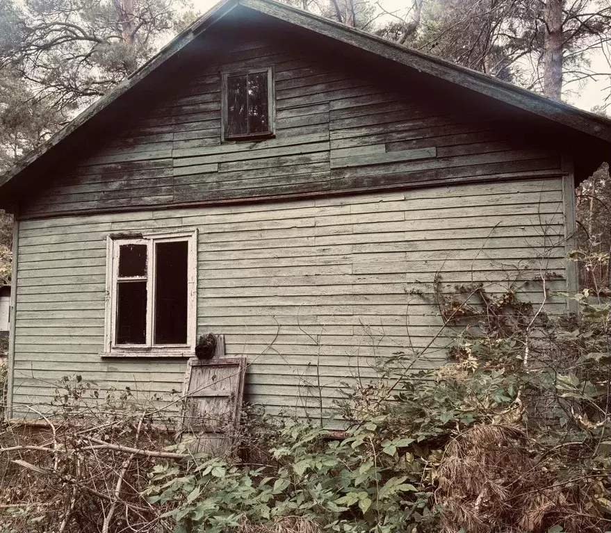 Помещение свободного назначения в Омская область, Омский район, ... - Фото 2