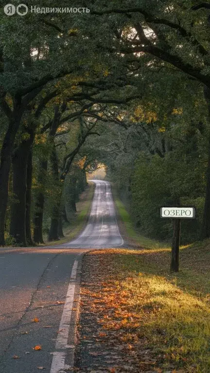 Участок в Ставрополь, Промышленный район (4.46 м) - Фото 1
