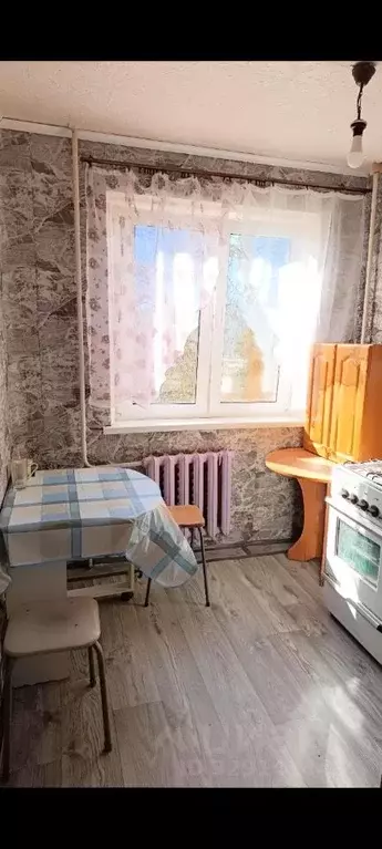 1-к кв. Ленинградская область, Гатчинский муниципальный округ, Дружная ... - Фото 2