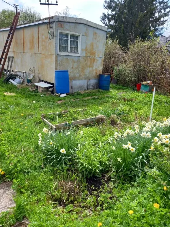 Участок в Ленинградская область, Волховский район, Кисельнинское ... - Фото 1