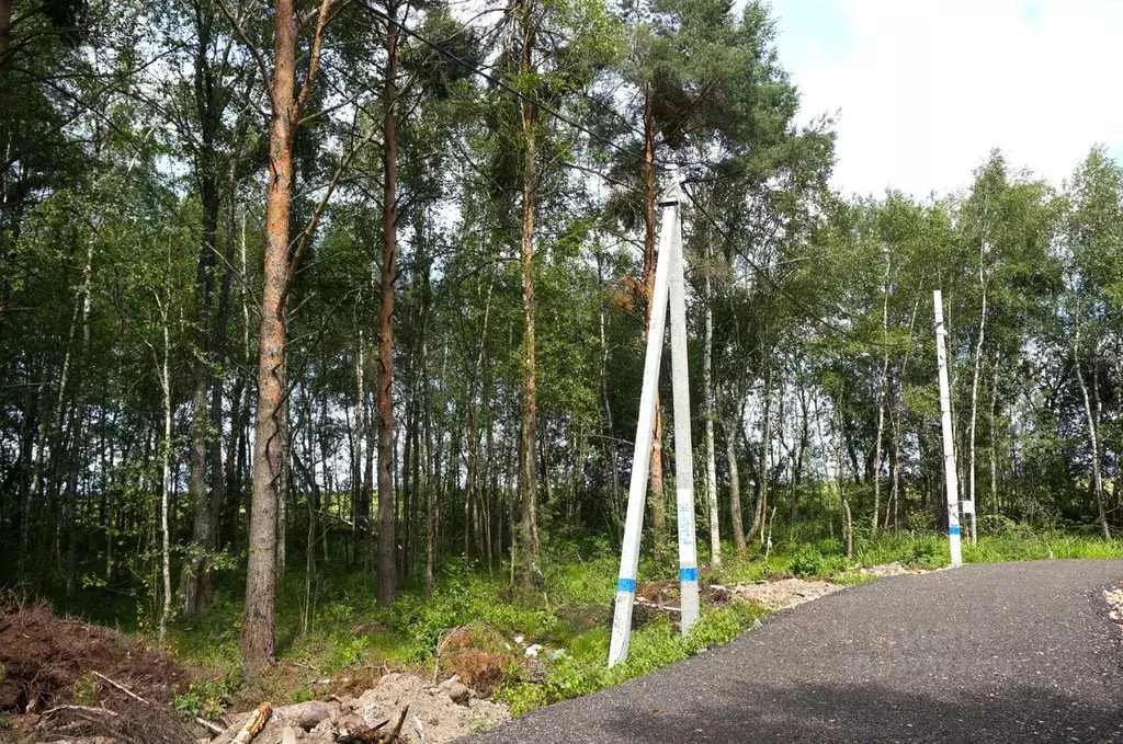 Участок в Московская область, Дмитровский муниципальный округ, с. ... - Фото 1